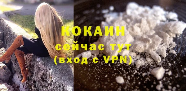 spice Дмитровск