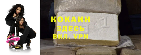 меф Дмитриев