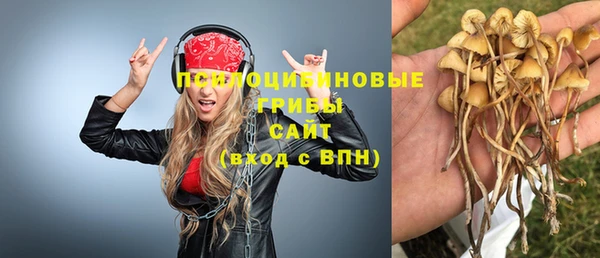 марки lsd Дмитров